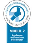 DKG - Siegel_Modul 2